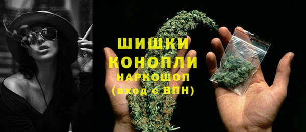 стаф Михайловск