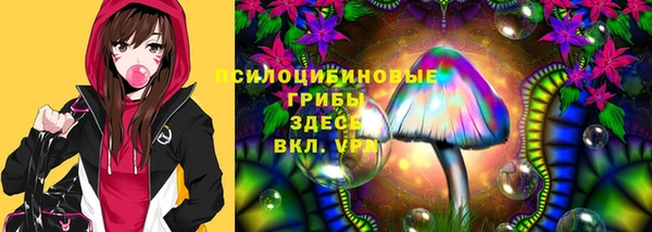 молекула духа Михайлов