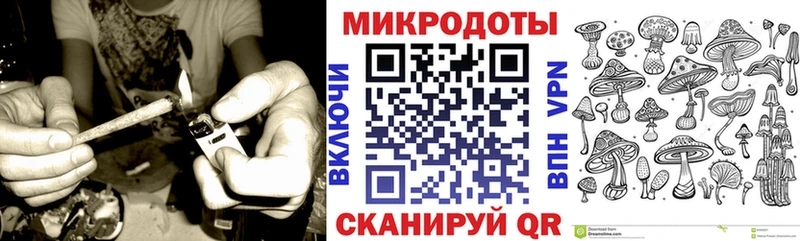 как найти   Ивангород  Галлюциногенные грибы MAGIC MUSHROOMS 